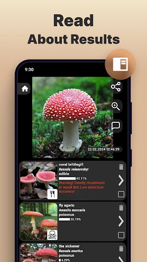 Mushroom Identification screenshot