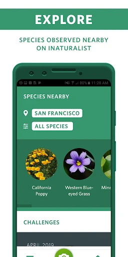 Seek by iNaturalist screenshot