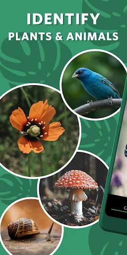 Seek by iNaturalist screenshot