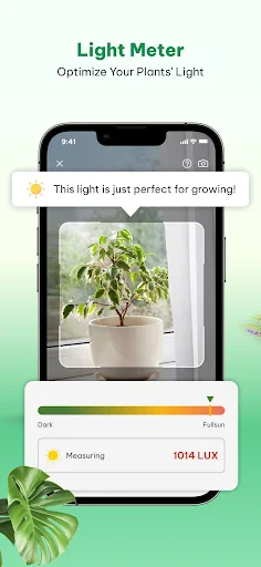 Plant Identifier & Plant Care screenshot
