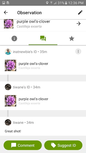 iNaturalist screenshot